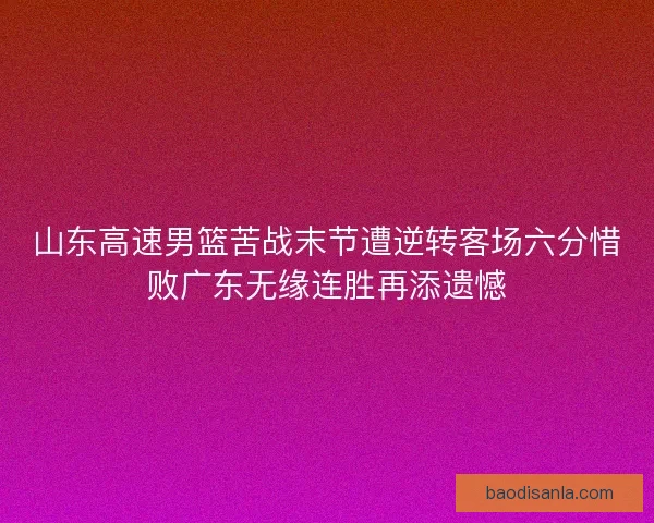 山东高速男篮苦战末节遭逆转客场六分惜败广东无缘连胜再添遗憾